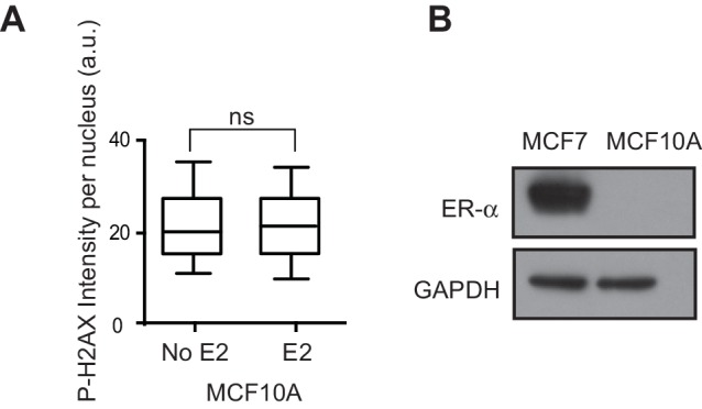 Figure 1—figure supplement 3.