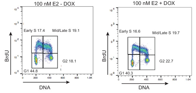 Figure 4—figure supplement 3.