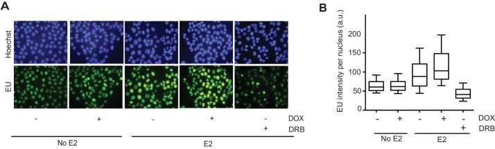 Figure 4—figure supplement 4.