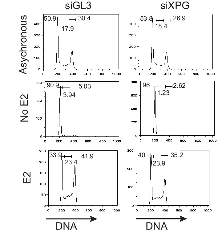 Figure 5—figure supplement 1.