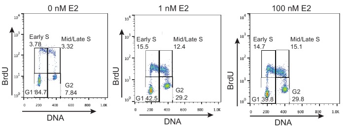 Figure 1—figure supplement 2.