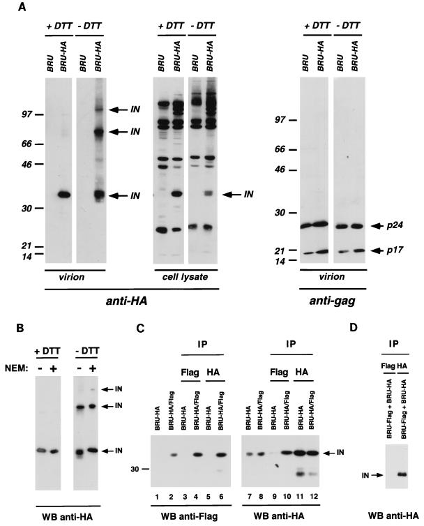 FIG. 3