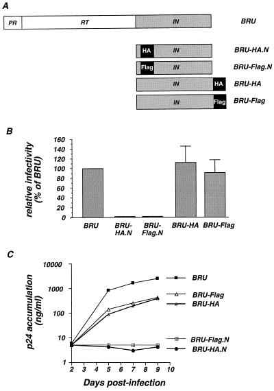 FIG. 1