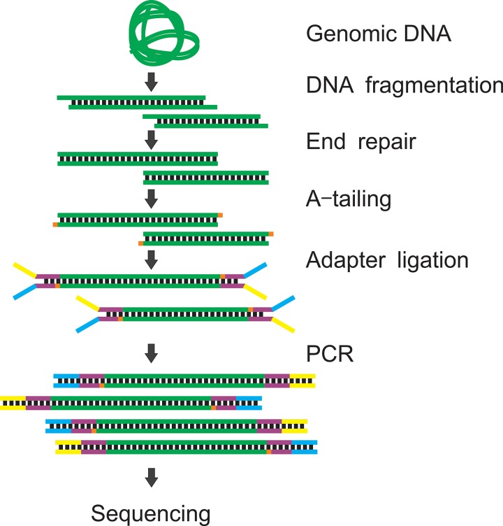 FIG. 1.