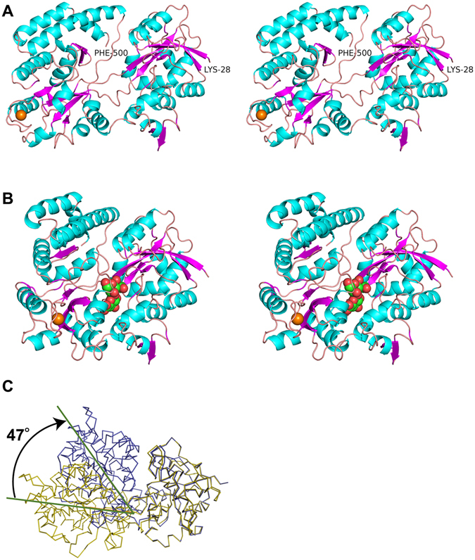 Figure 6