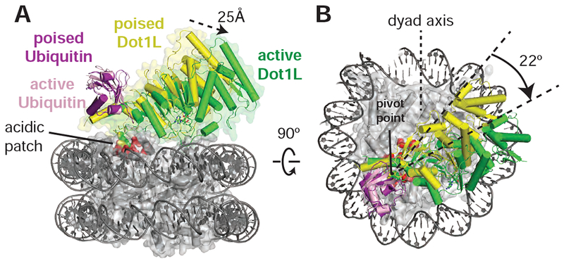 Figure 3: