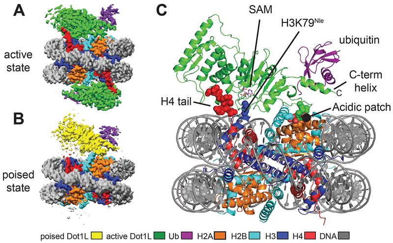 Figure 1: