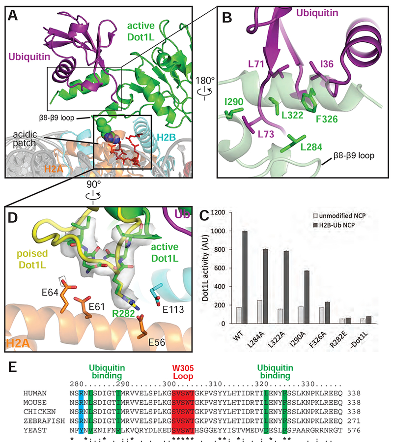 Figure 4: