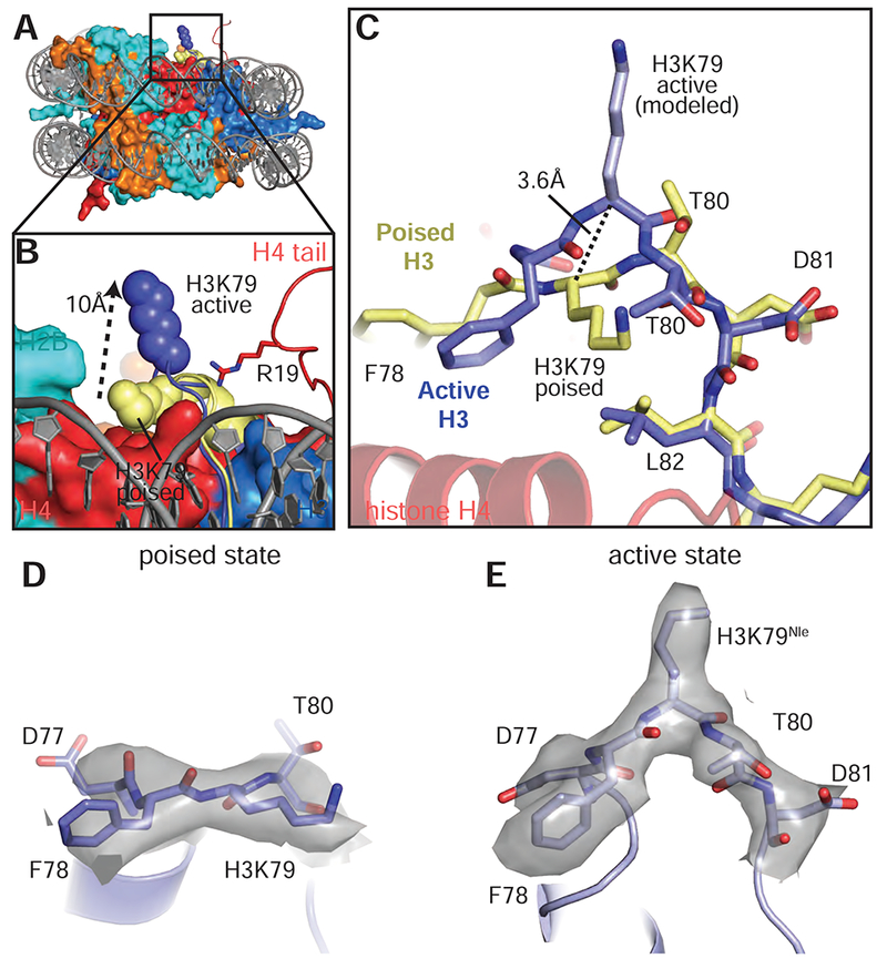 Figure 6: