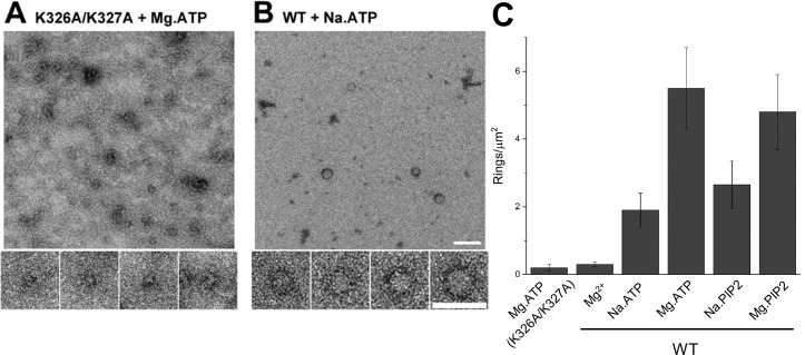 Figure 2.