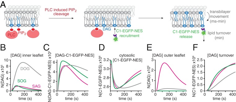 Fig. 6.