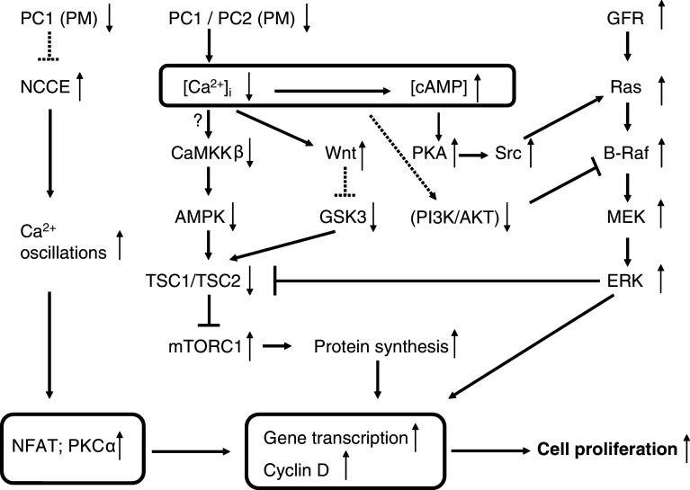 Fig. 2