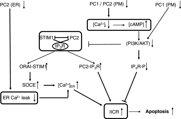 Fig. 3