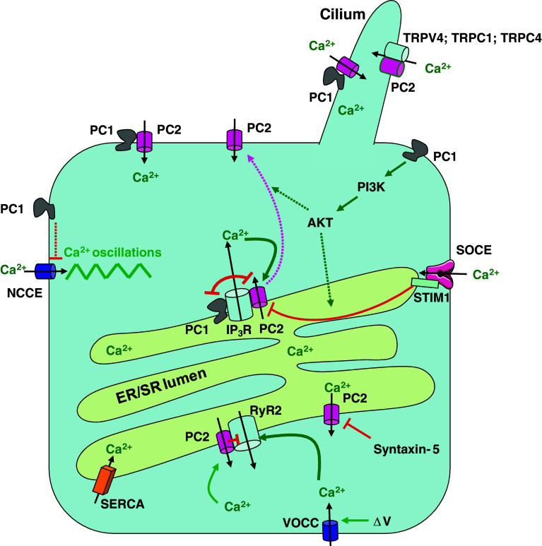 Fig. 1