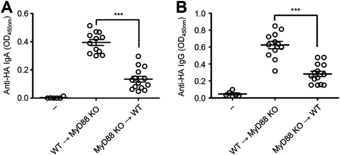 FIG 6