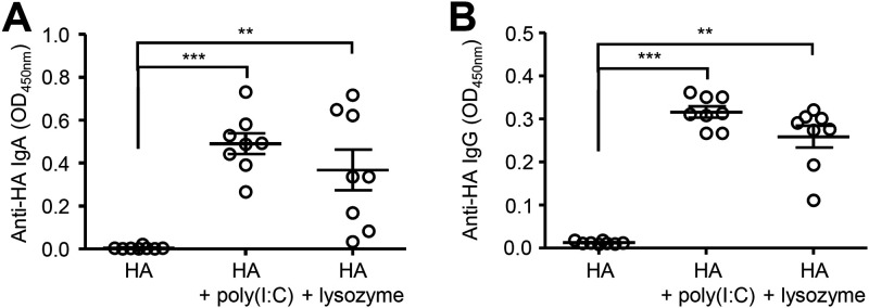 FIG 2