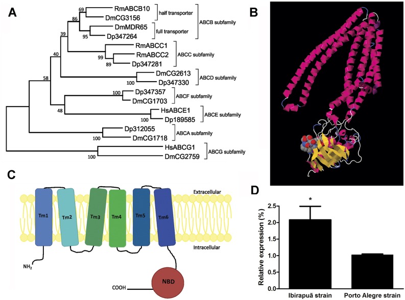 Fig 6