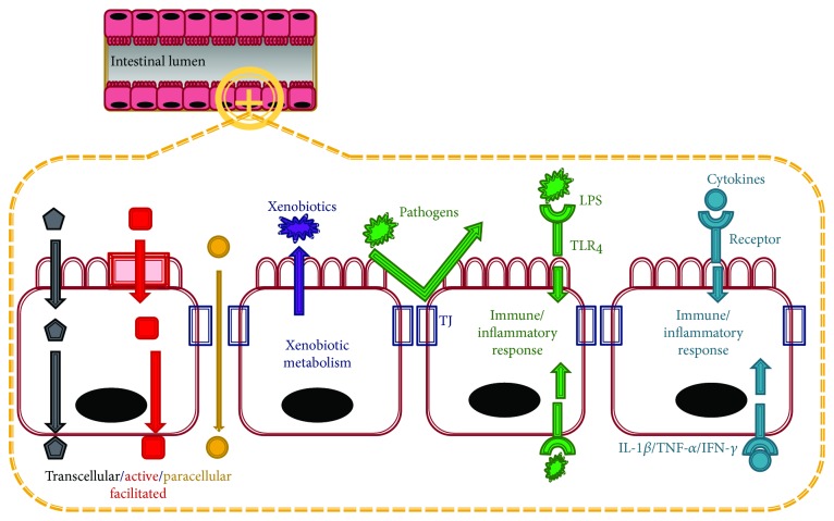 Figure 1