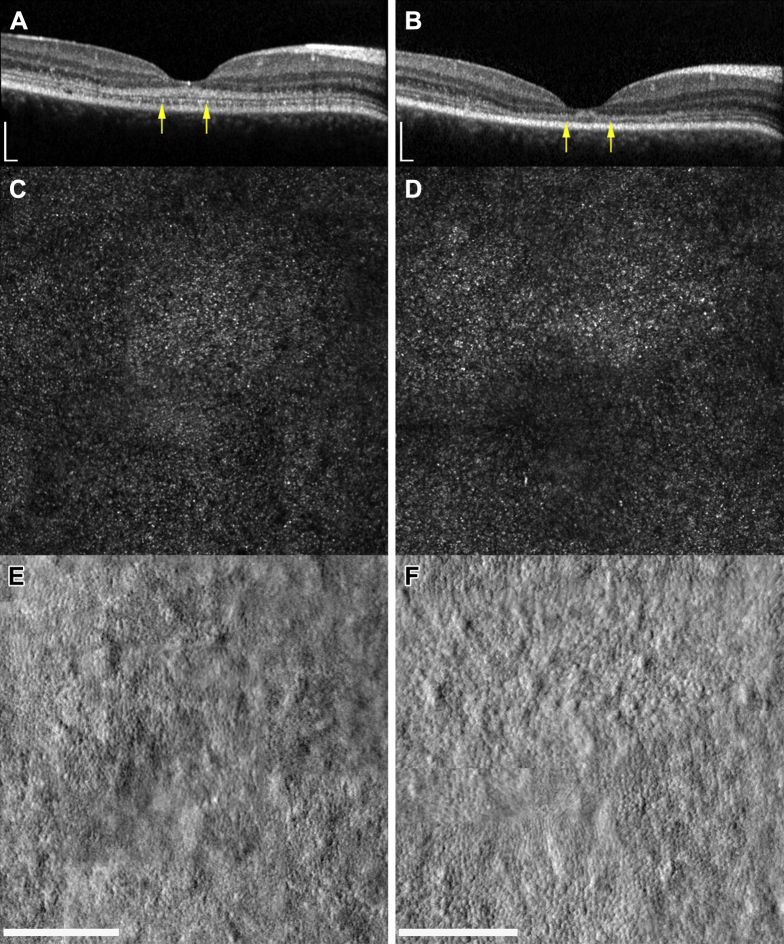 Figure 7