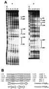FIG. 7