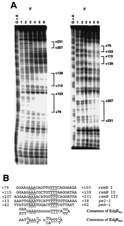 FIG. 7