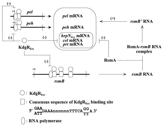 FIG. 8