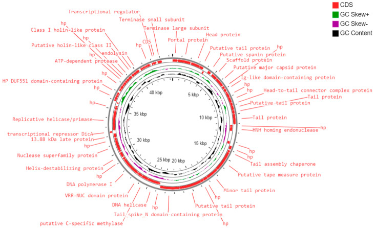 Figure 6