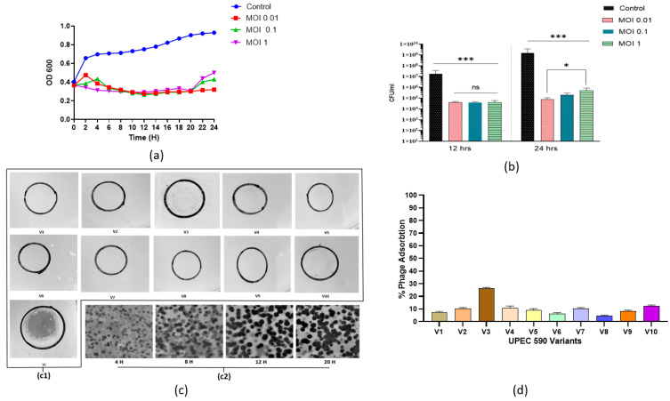 Figure 11