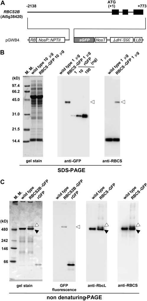 Figure 9.