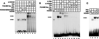 FIG. 6.