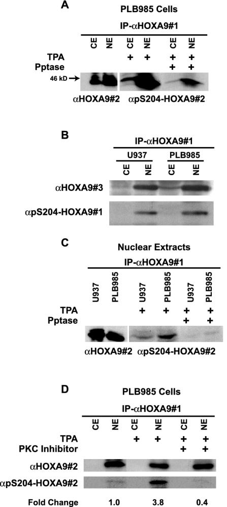 FIG. 5.