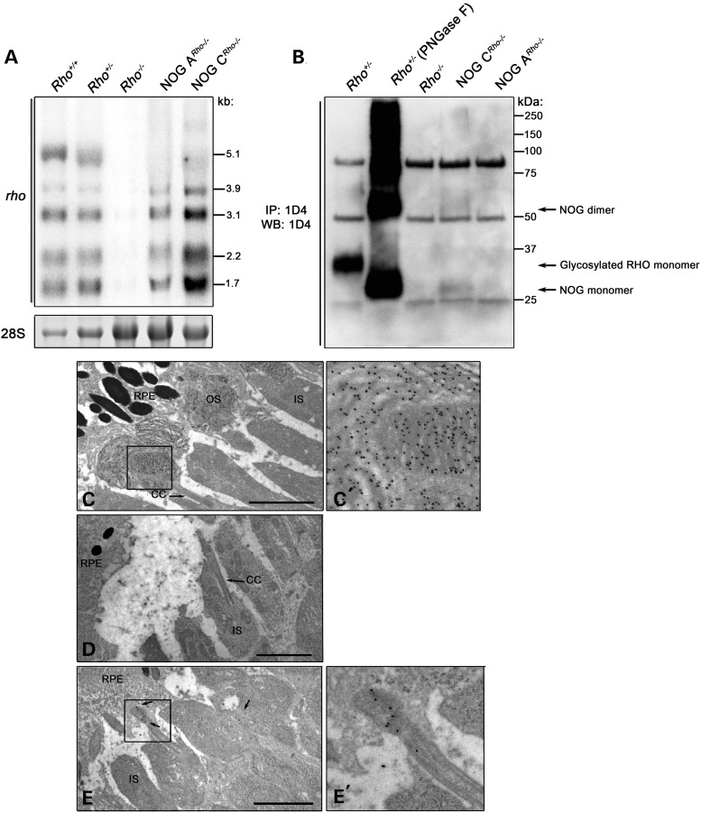 Figure 6.