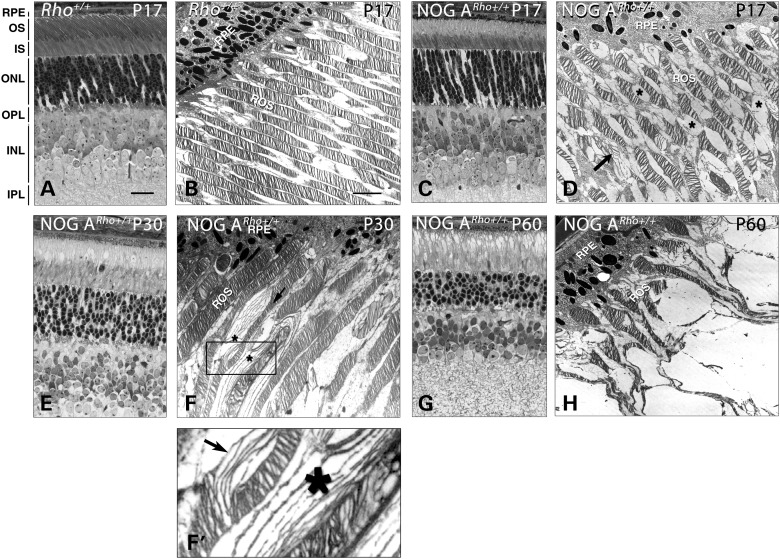 Figure 3.