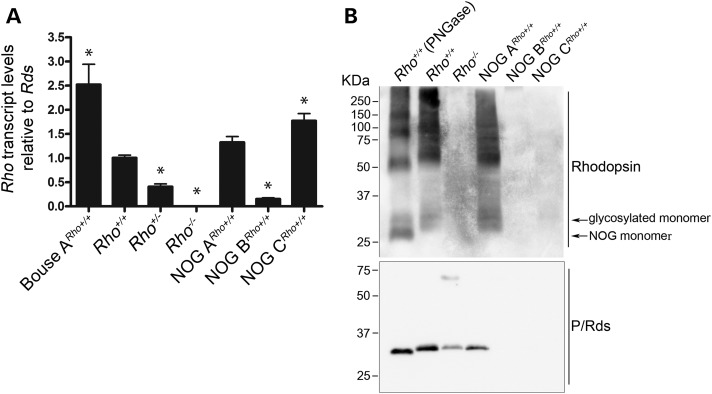 Figure 2.