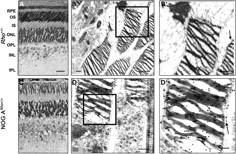 Figure 4.