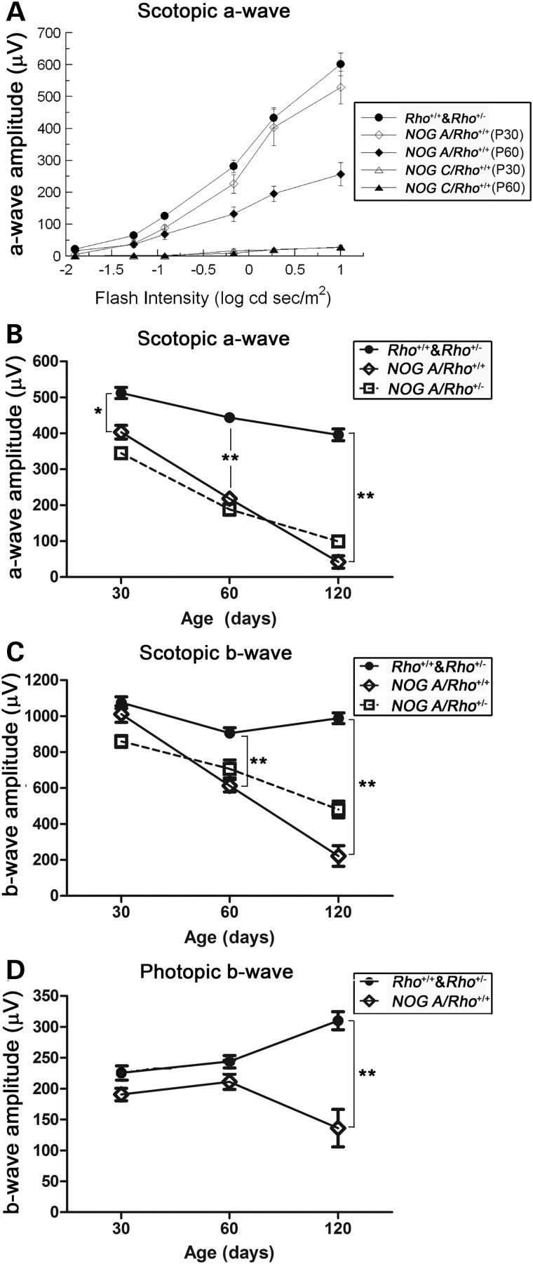 Figure 1.