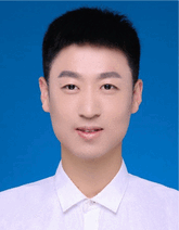 graphic file with name ADVS-12-2501000-g007.gif