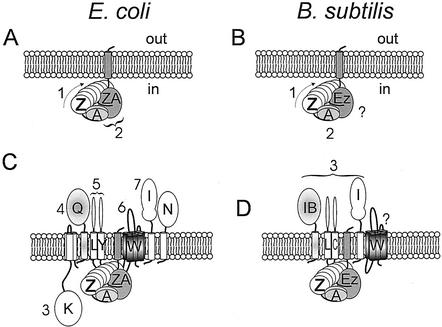 FIG. 2.