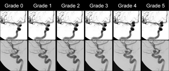 Fig 5.