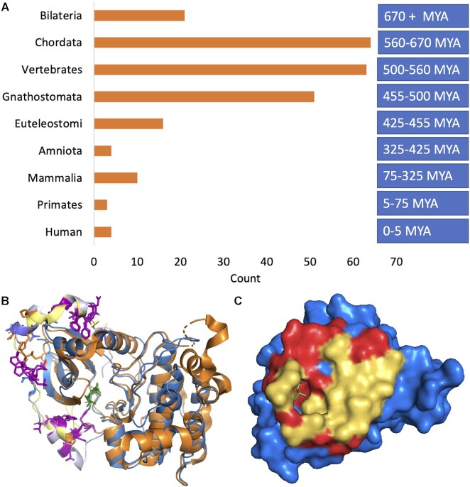 Figure 5.