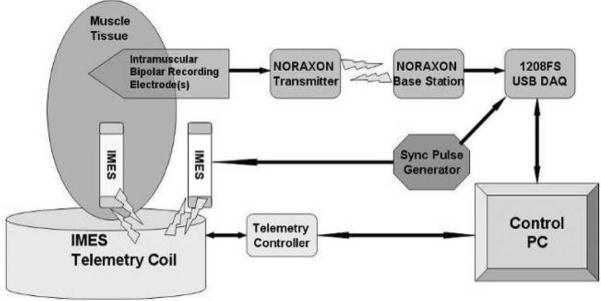 Fig. 12