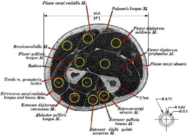 Fig. 3