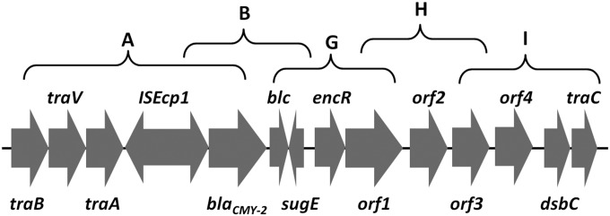 FIG 3