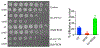 Extended Data Fig. 17.