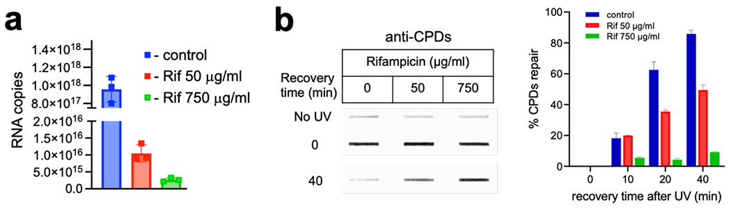 Extended Data Fig. 9.