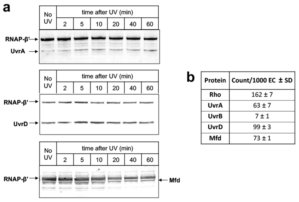 Extended Data Fig. 2.