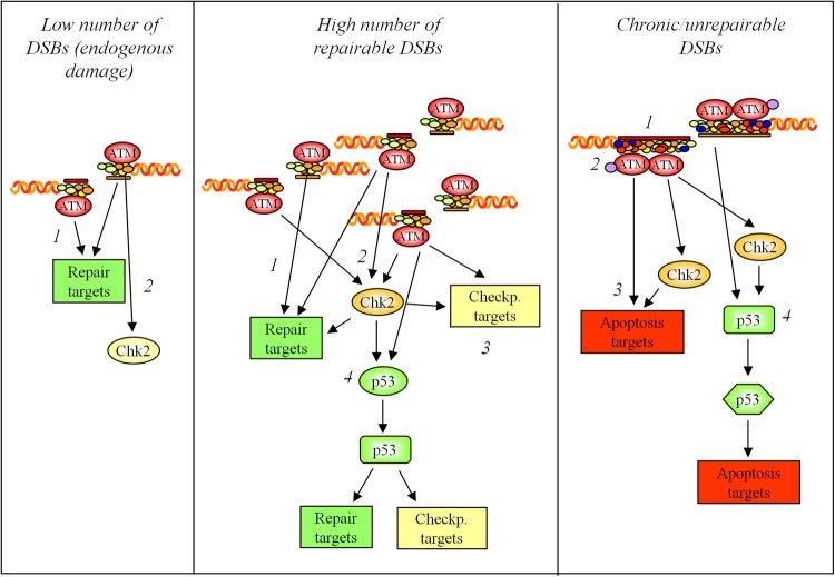 Figure 4