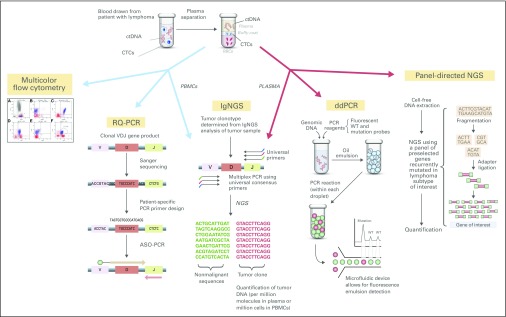 Fig 1.