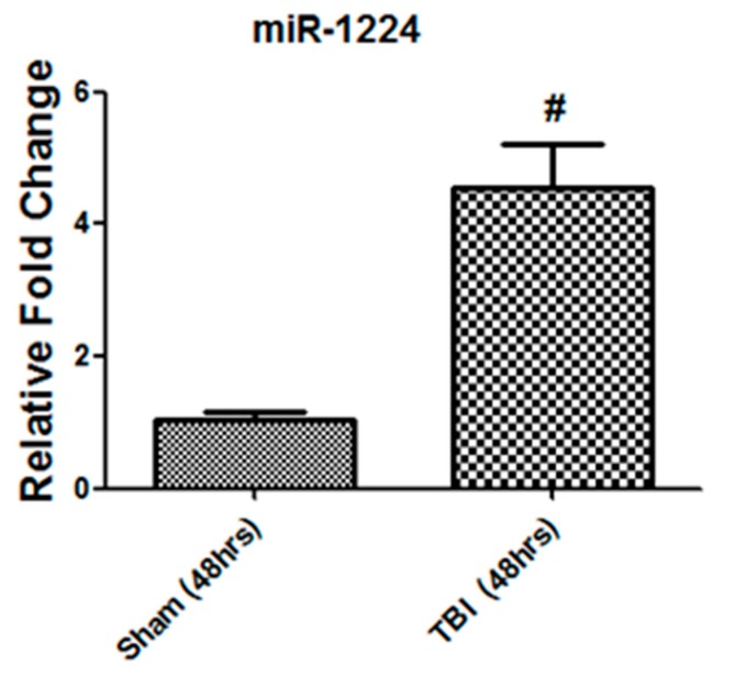 Figure 9