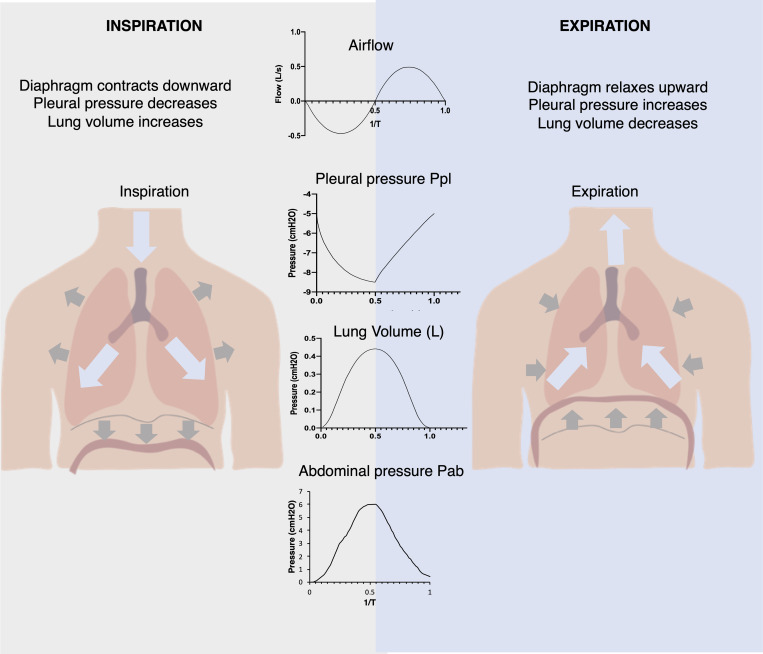 FIG. 2.